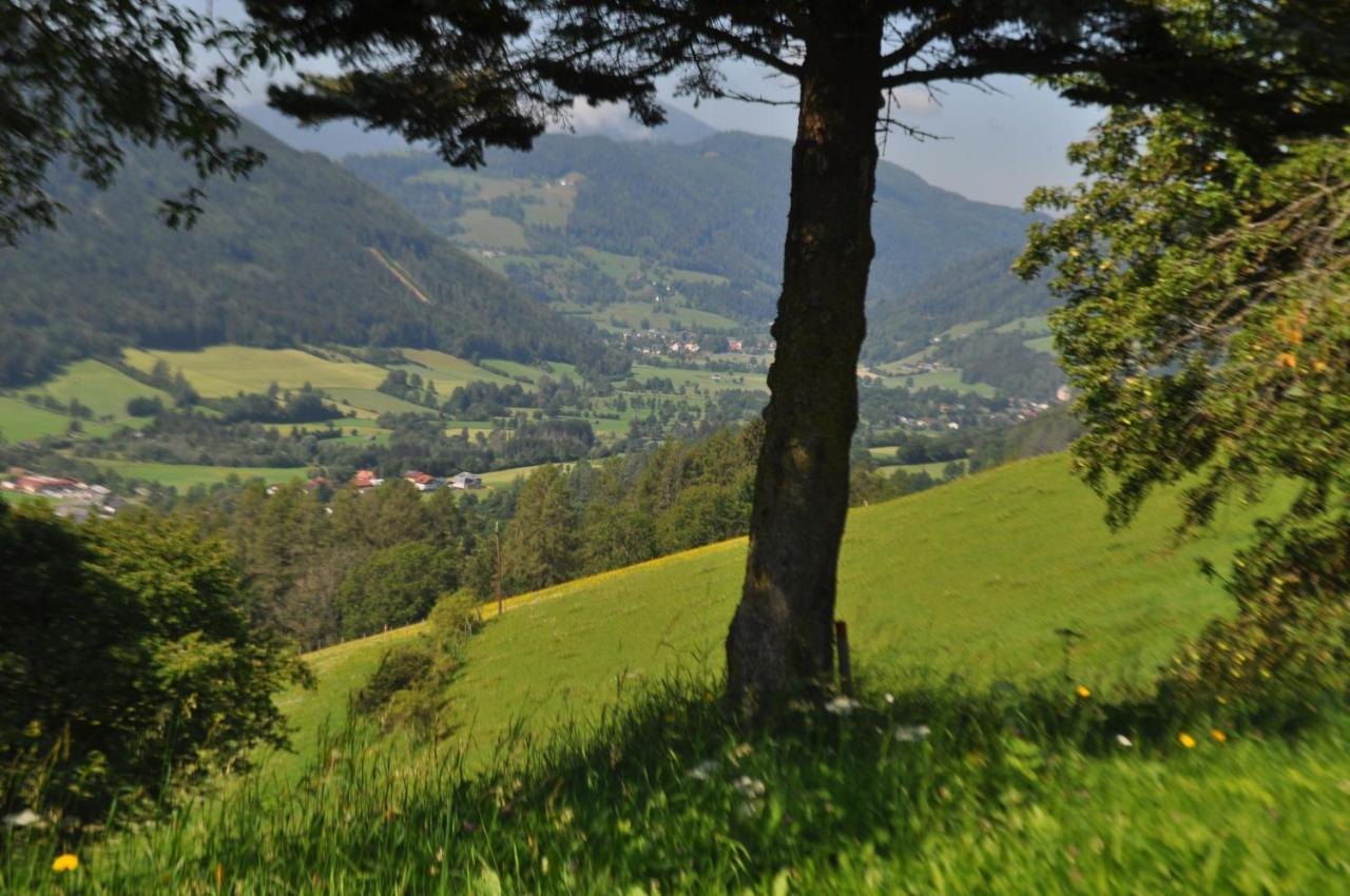 Fruhstuckspension Bischof I D Wiesen Sankt Peter am Kammersberg Exteriér fotografie