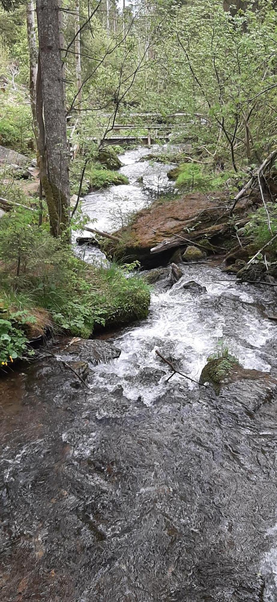 Fruhstuckspension Bischof I D Wiesen Sankt Peter am Kammersberg Exteriér fotografie